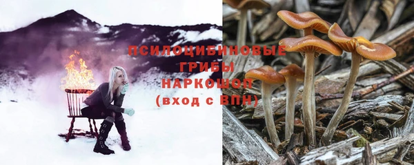 мяу мяу мука Бронницы